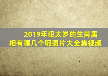 2019年犯太岁的生肖属相有哪几个呢图片大全集视频