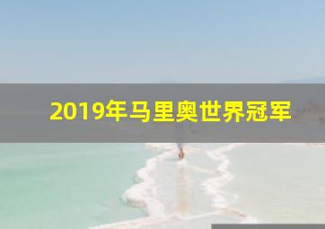 2019年马里奥世界冠军