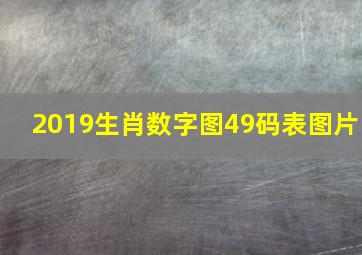 2019生肖数字图49码表图片