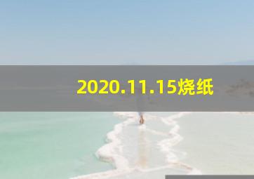 2020.11.15烧纸