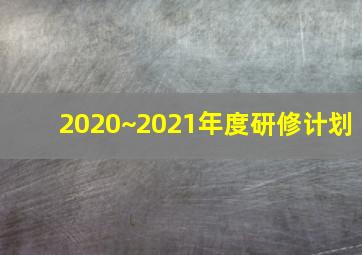 2020~2021年度研修计划