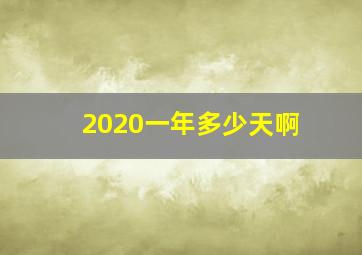 2020一年多少天啊