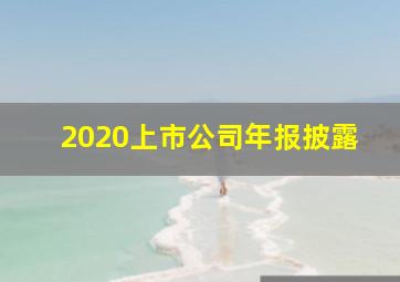 2020上市公司年报披露