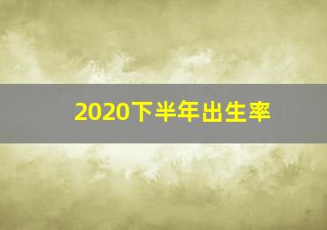 2020下半年出生率