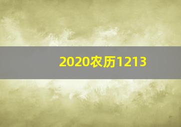 2020农历1213