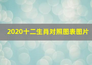 2020十二生肖对照图表图片