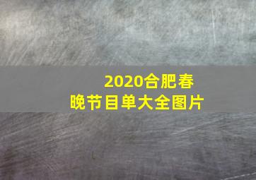 2020合肥春晚节目单大全图片