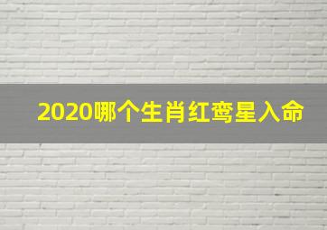 2020哪个生肖红鸾星入命