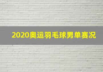 2020奥运羽毛球男单赛况