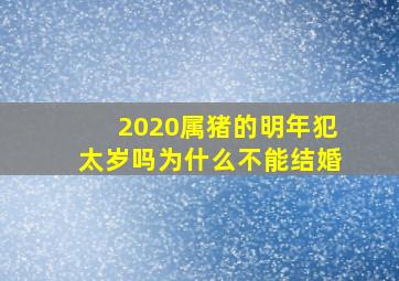 2020属猪的明年犯太岁吗为什么不能结婚