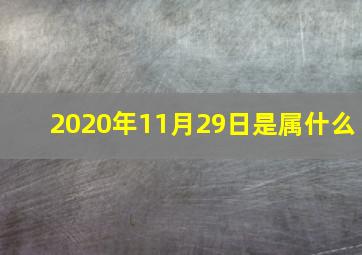 2020年11月29日是属什么