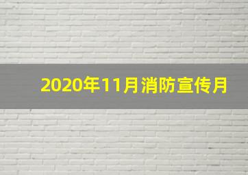 2020年11月消防宣传月