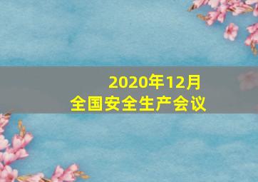 2020年12月全国安全生产会议