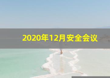 2020年12月安全会议