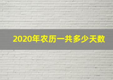 2020年农历一共多少天数