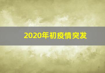 2020年初疫情突发