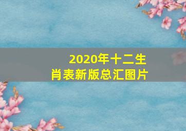 2020年十二生肖表新版总汇图片