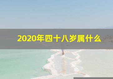 2020年四十八岁属什么