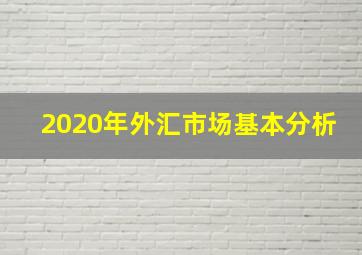 2020年外汇市场基本分析