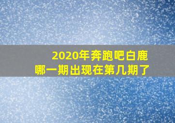 2020年奔跑吧白鹿哪一期出现在第几期了