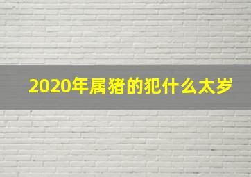 2020年属猪的犯什么太岁