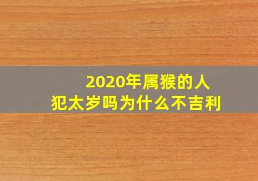 2020年属猴的人犯太岁吗为什么不吉利