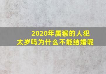 2020年属猴的人犯太岁吗为什么不能结婚呢