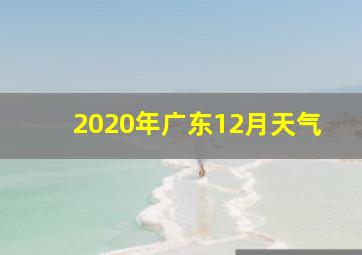 2020年广东12月天气