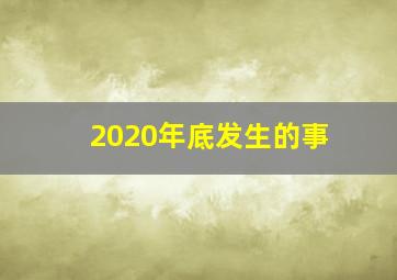 2020年底发生的事