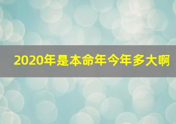 2020年是本命年今年多大啊