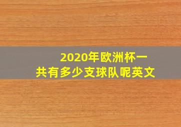 2020年欧洲杯一共有多少支球队呢英文