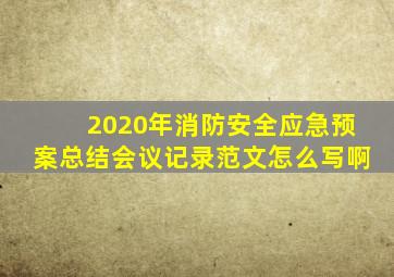 2020年消防安全应急预案总结会议记录范文怎么写啊