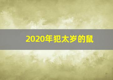 2020年犯太岁的鼠