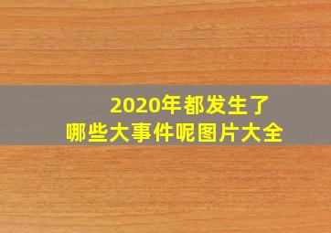 2020年都发生了哪些大事件呢图片大全