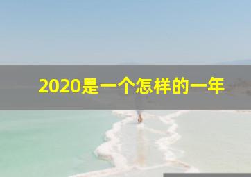 2020是一个怎样的一年