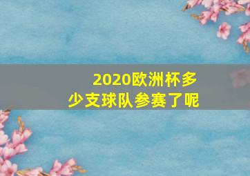 2020欧洲杯多少支球队参赛了呢