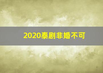 2020泰剧非婚不可