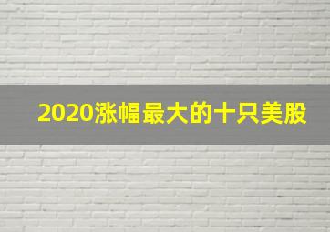 2020涨幅最大的十只美股