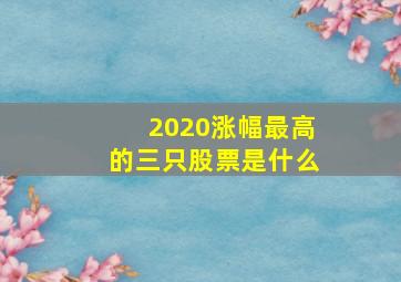 2020涨幅最高的三只股票是什么