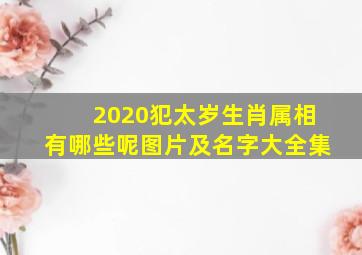 2020犯太岁生肖属相有哪些呢图片及名字大全集