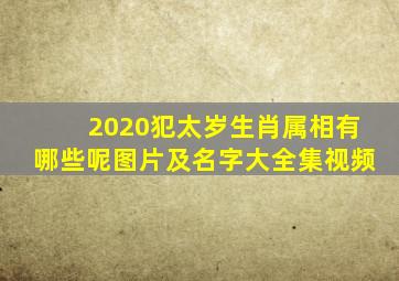 2020犯太岁生肖属相有哪些呢图片及名字大全集视频