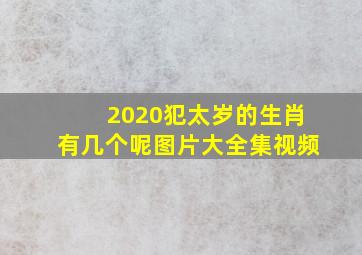 2020犯太岁的生肖有几个呢图片大全集视频