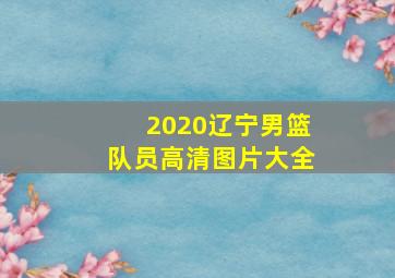 2020辽宁男篮队员高清图片大全