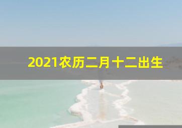 2021农历二月十二出生