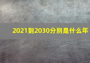 2021到2030分别是什么年