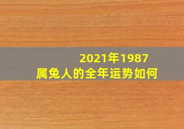 2021年1987属兔人的全年运势如何