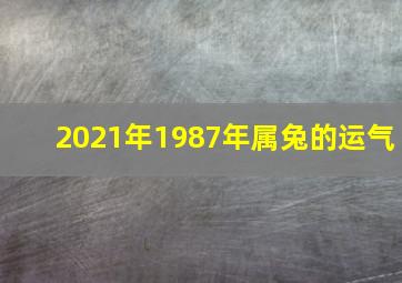 2021年1987年属兔的运气