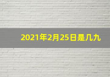 2021年2月25日是几九