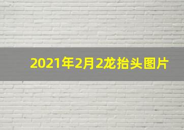 2021年2月2龙抬头图片