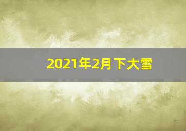 2021年2月下大雪